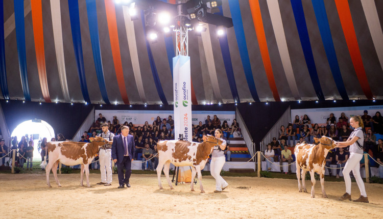 Mais de 550 animais vão participar do julgamento no Agroleite 2025