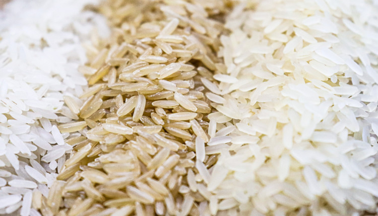 Queda no preço do arroz acende alerta no setor e pode impactar próxima safra