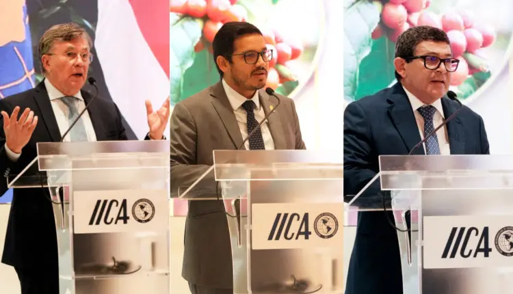 A agricultura tropical é crucial para o planeta e deve receber mais apoio para transformar sua riqueza natural em produtividade
