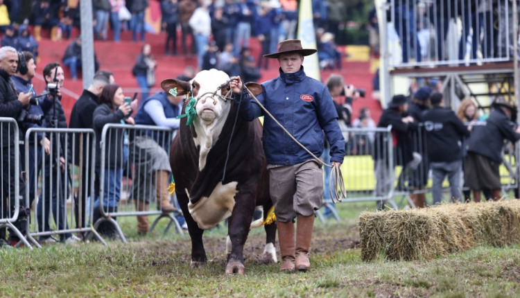 Desfile dos Grandes Campeões traz emoção e surpresa à Expointer 2025