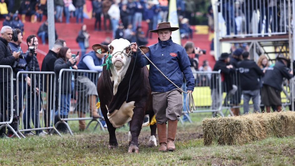 Desfile dos Grandes Campeões traz emoção e surpresa à Expointer 2025