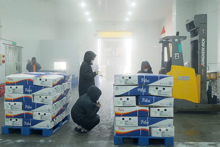 Vietnã recebe as primeiras 27 toneladas de carne bovina brasileira