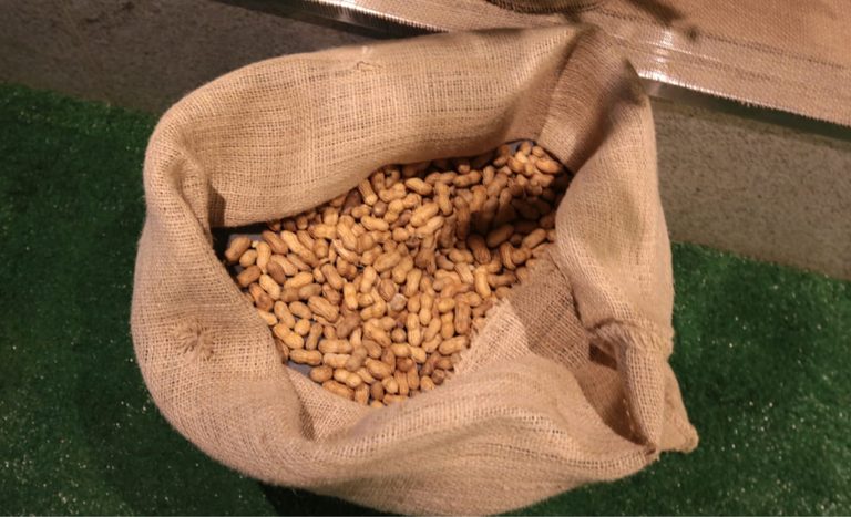 Mapa sedia exposição com o tema “Amendoim: Orgulho Nacional e Qualidade Certificada”