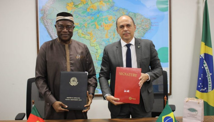 Brasil e Camarões assinam acordo bilateral para fomentar avanços e sustentabilidade na produção cacaueira