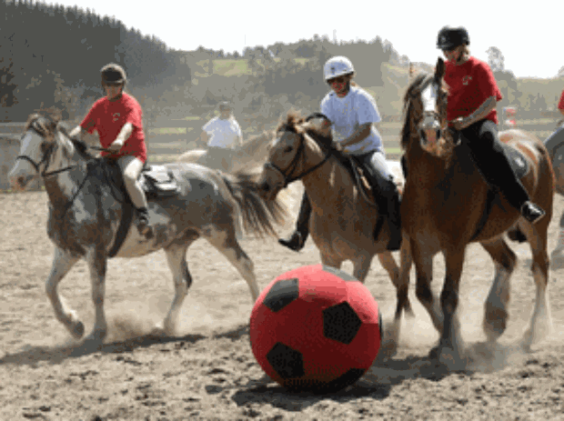Futebol de cavalo