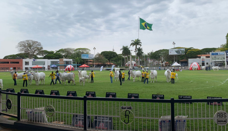 Expoinel 2025 acontece de 13 a 19 de outubro, em Uberaba (MG)