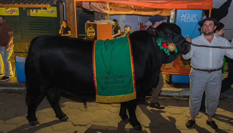 Leilão Noite dos Campeões movimenta 251 mil na Expointer 2025