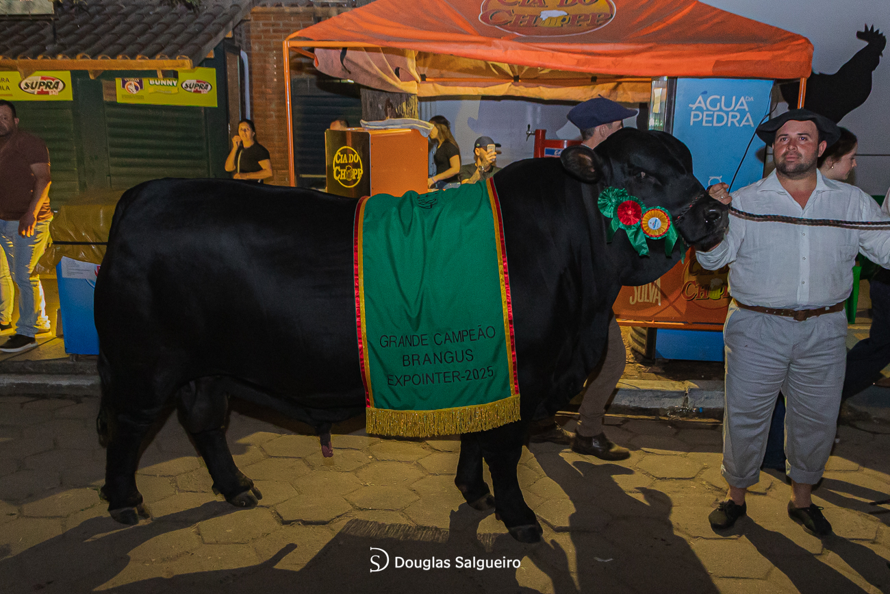 Leilão Noite dos Campeões movimenta 251 mil na Expointer 2025
