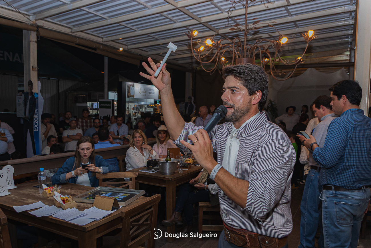 Leilão Noite dos Campeões movimenta 251 mil na Expointer 2025