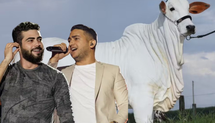 Vaca de Henrique e Juliano, avaliada em R$ 4 milhões, é destaque em exposição no interior de SP