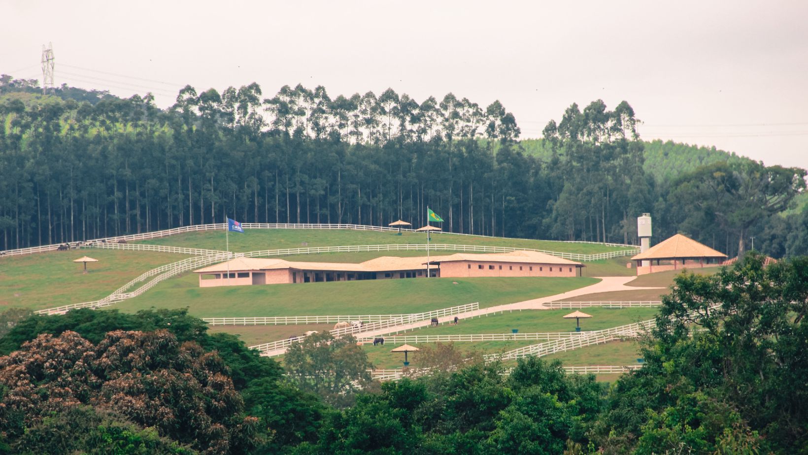 Haras CASS Mangalarga do Brasil