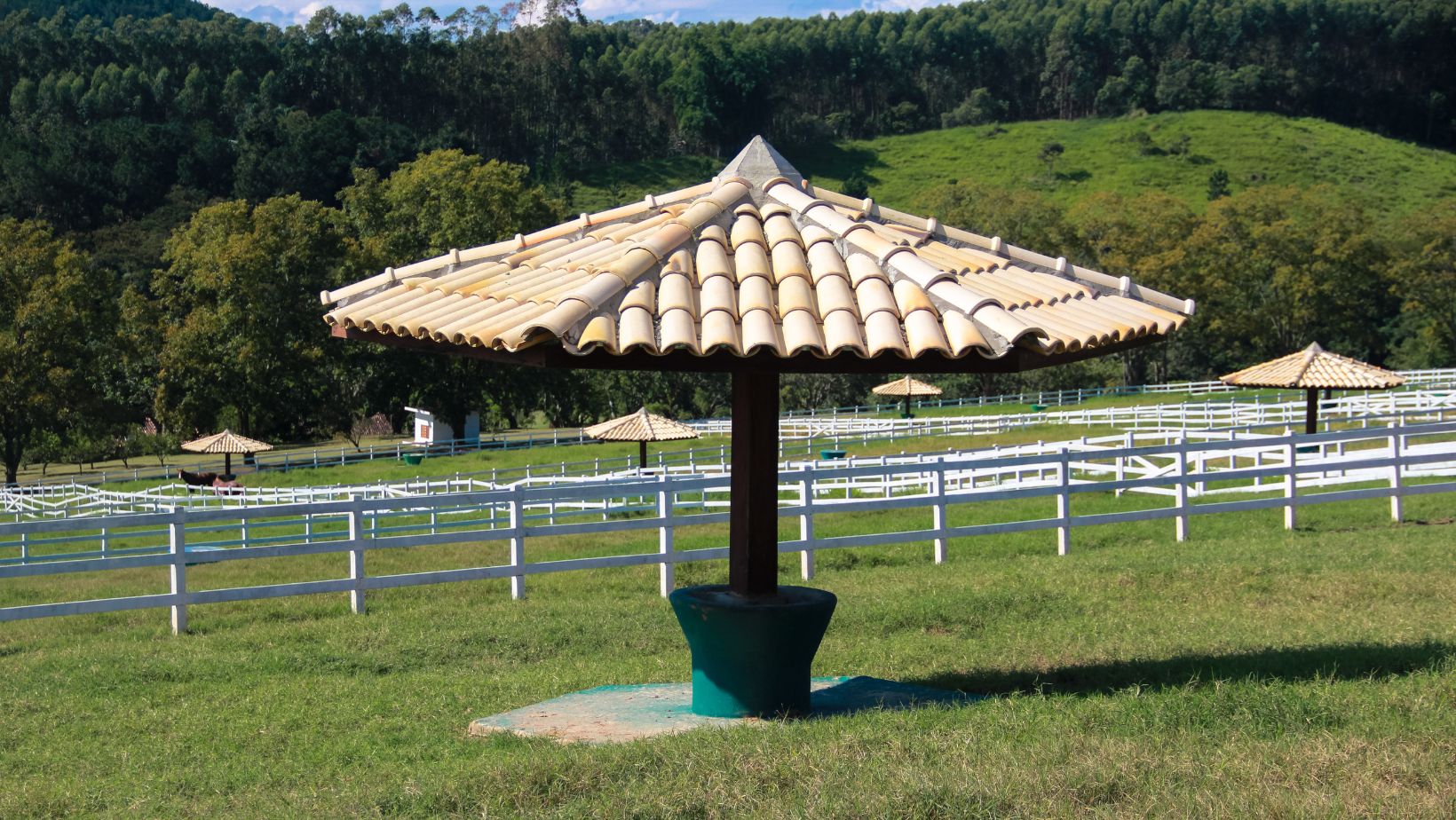 Haras CASS Mangalarga do Brasil - estrutura do haras