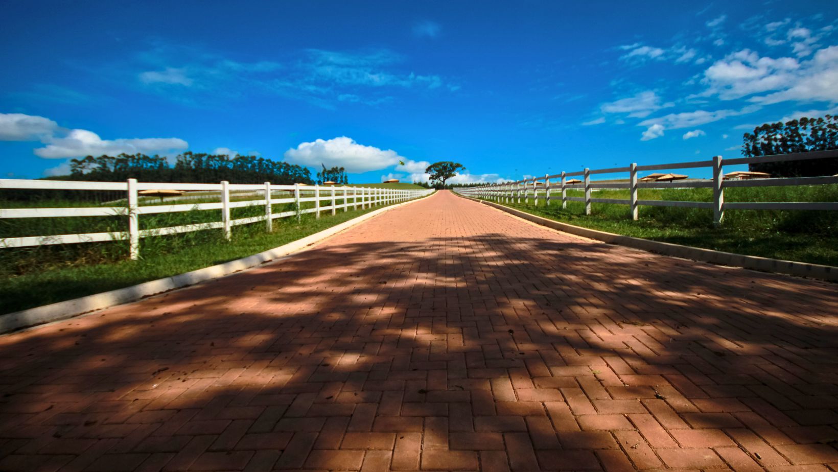 Haras CASS Mangalarga do Brasil - estrutura do haras