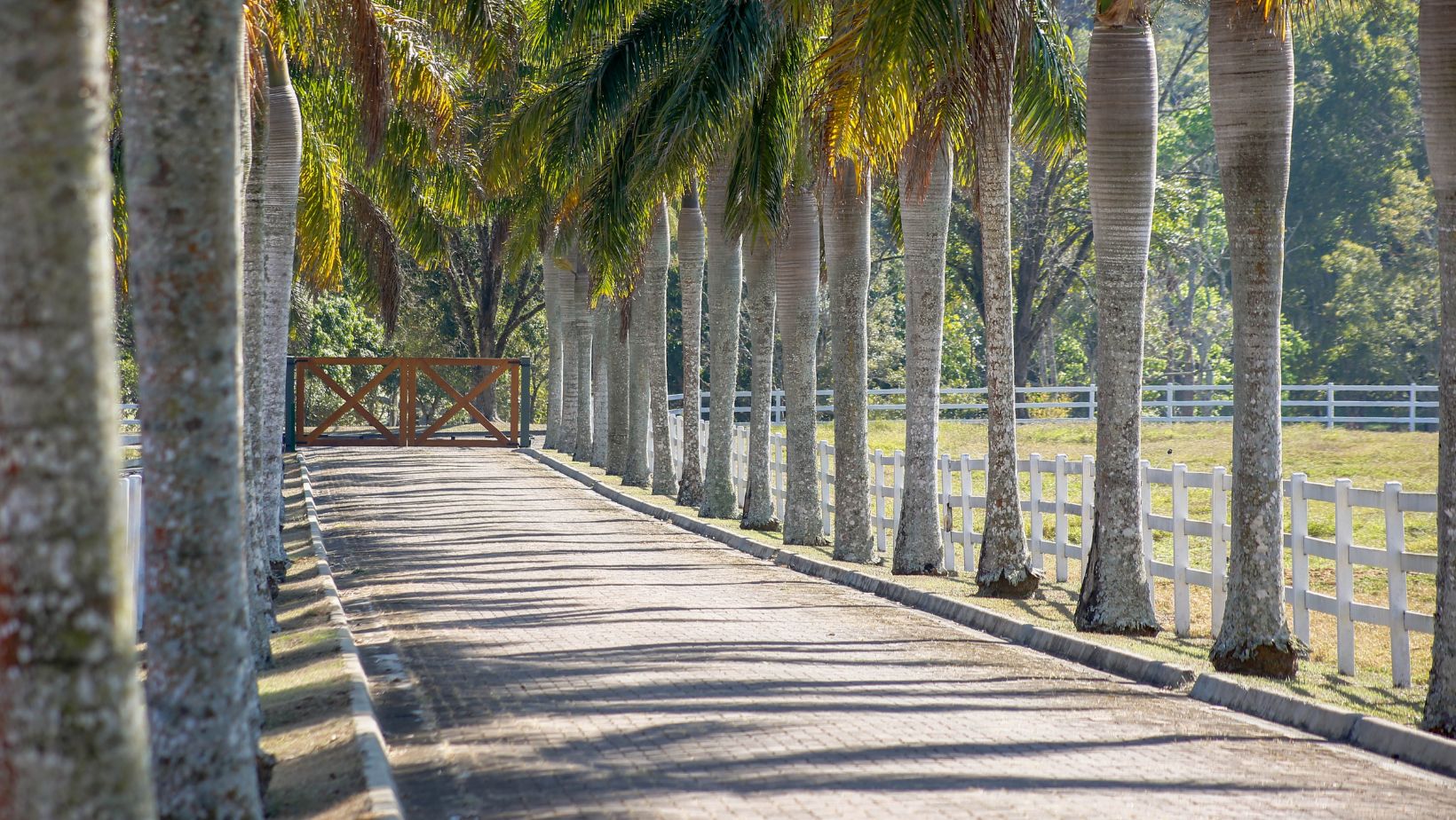 Haras CASS Mangalarga do Brasil - estrutura do haras