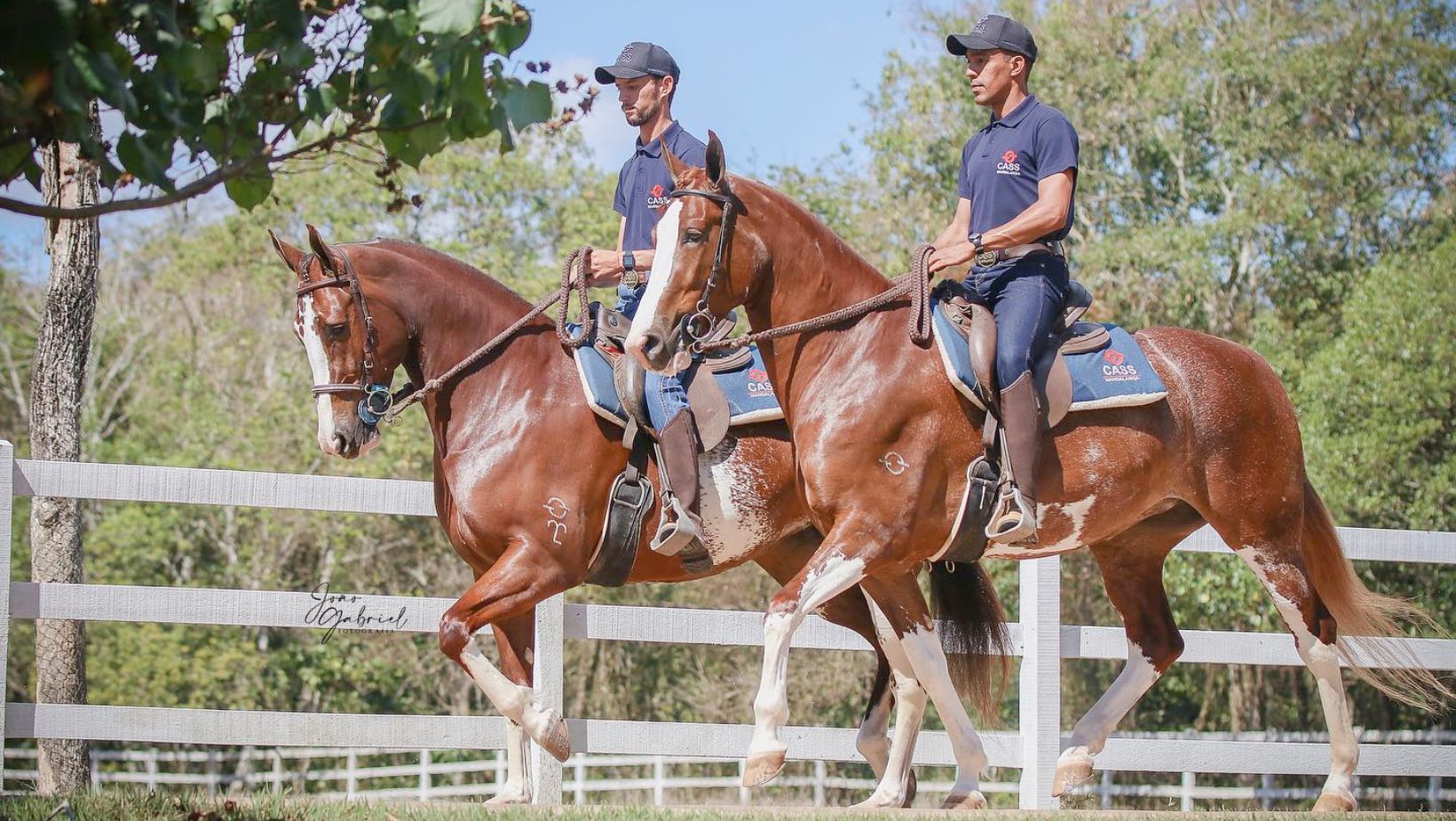 Haras CASS Mangalarga do Brasil - estrutura do haras