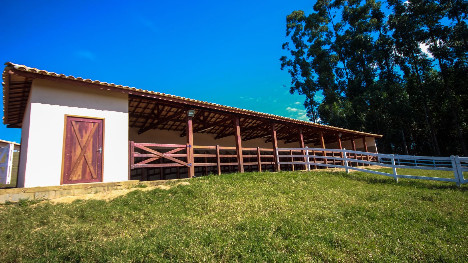 Haras CASS Mangalarga do Brasil - estrutura do haras barracao