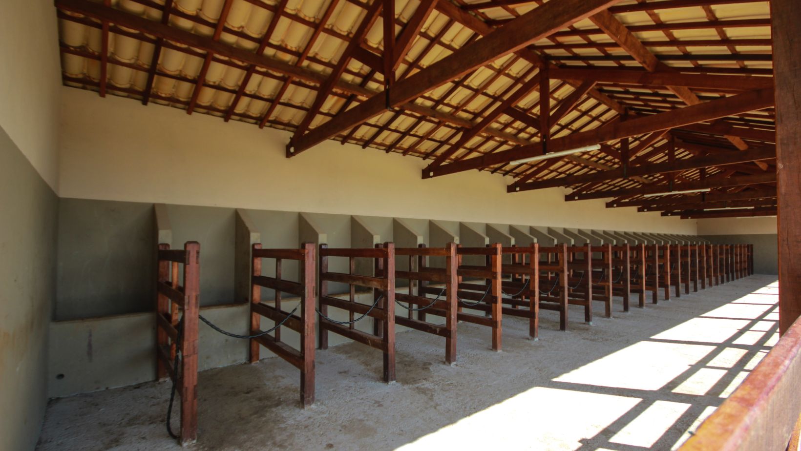 Haras CASS Mangalarga do Brasil - estrutura do haras