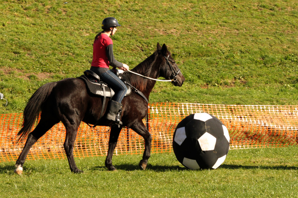 Futebol de cavalo