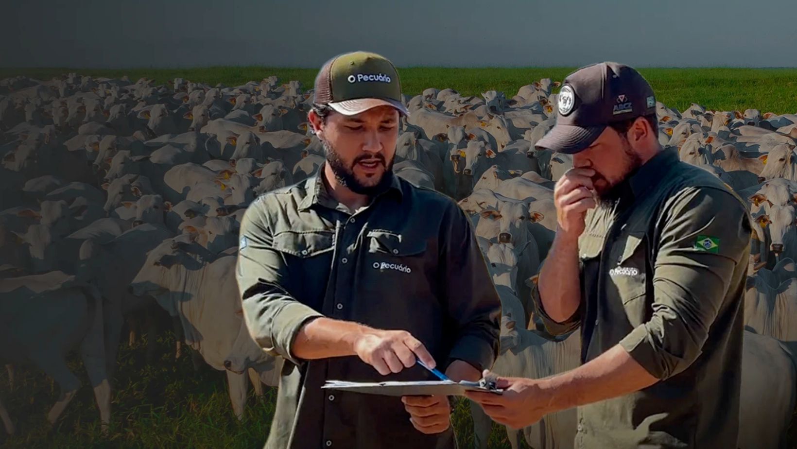 Joao Sauvesuk - O Pecuario