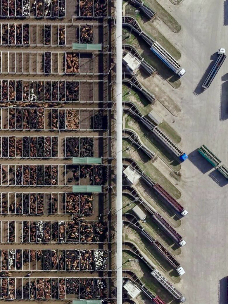 Conheça o maior centro de pecuária do mundo a Capital Argentina dos Agronegócios