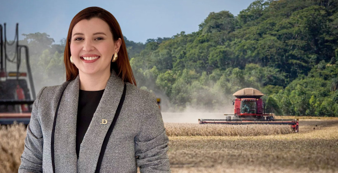 Moratoria da soja - artigo de opiniao Bianca Rocha - Joao Domingos Advogados