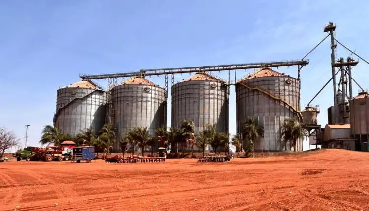 NetZero investe R$ 15 mi em 1ª fábrica de biochar a partir da cana no Brasil
