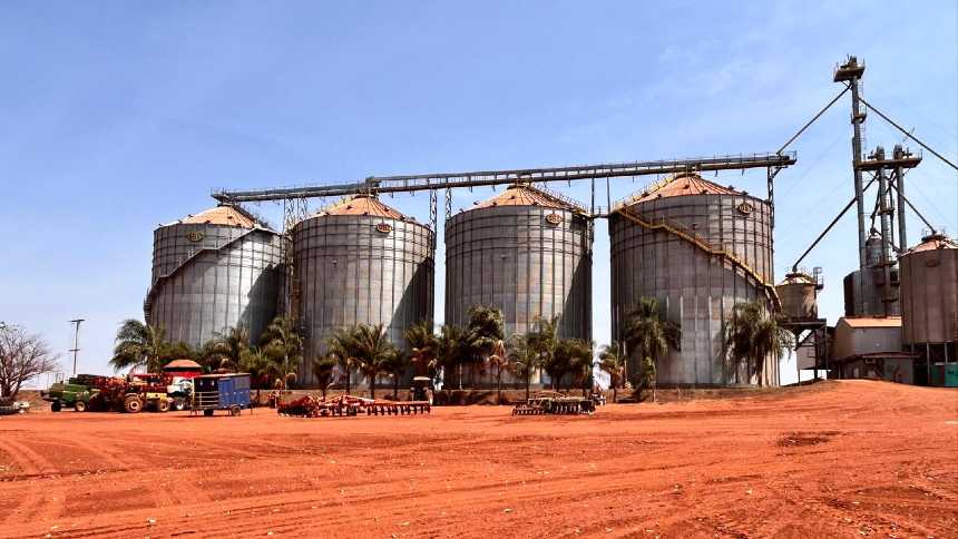 NetZero investe R$ 15 mi em 1ª fábrica de biochar a partir da cana no Brasil