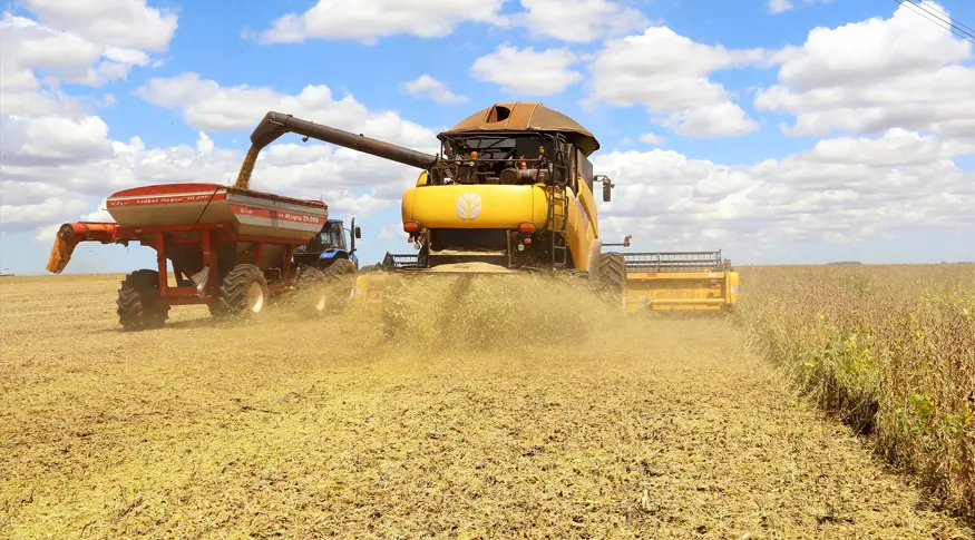 PAM 2024: Com queda nos preços e na safra de grãos, valor da produção agrícola cai pelo segundo ano seguido