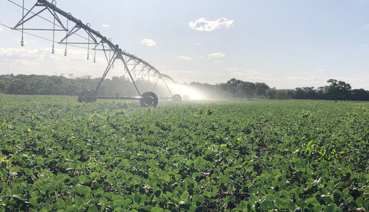 Capacitação em irrigação conta com apoio da Embrapa