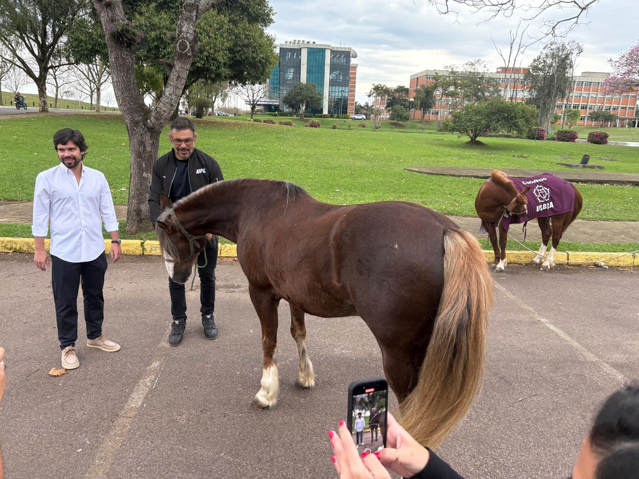 Caramelo e Lorinho, cavalo do ex-lutador Minotauro, dividem espaço na Ulbra