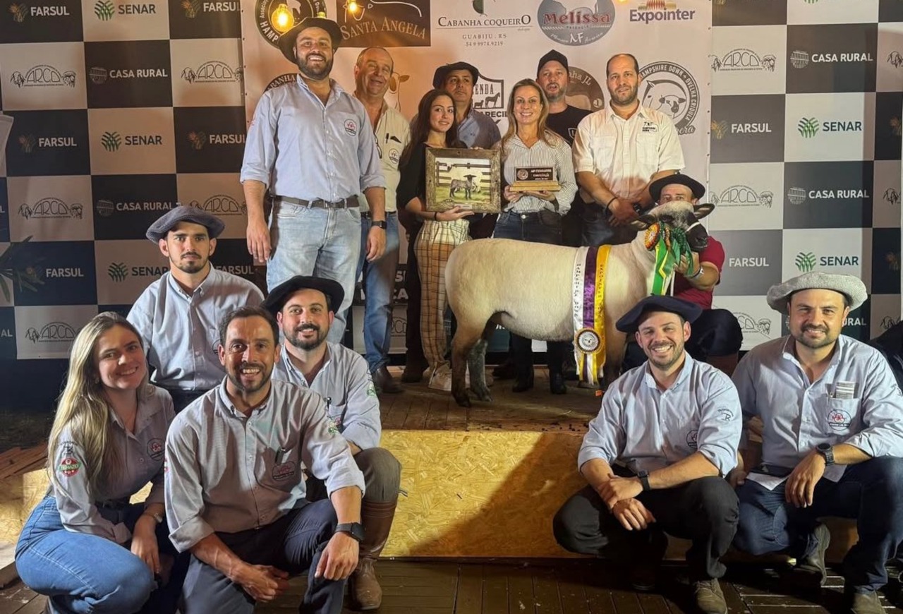 Expointer 2025 registra quase R$1 milhão na comercialização de ovinos
