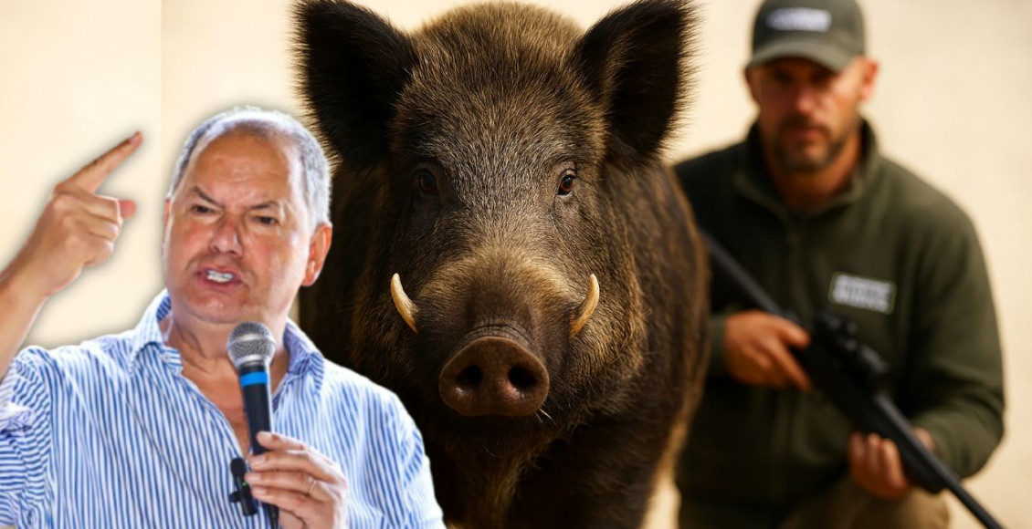 alceu moreira javali comprerural