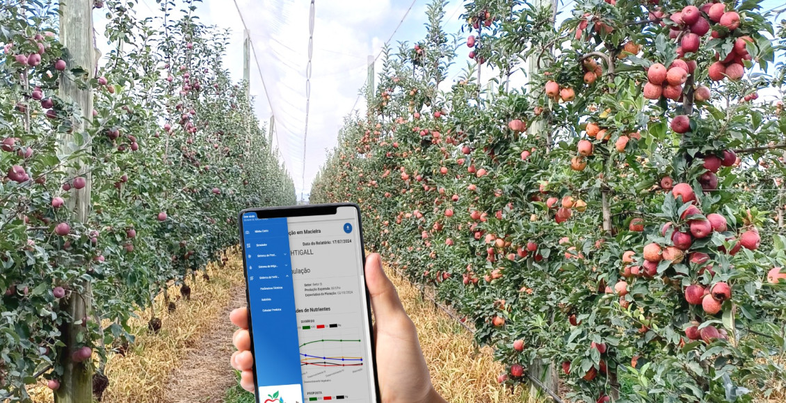 Aplicativo para celular ajuda produtor a aprimorar a irrigação de macieiras