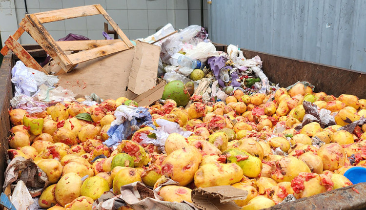 Novo sistema aumenta a produção de biogás a partir de resíduos de frutas e verduras