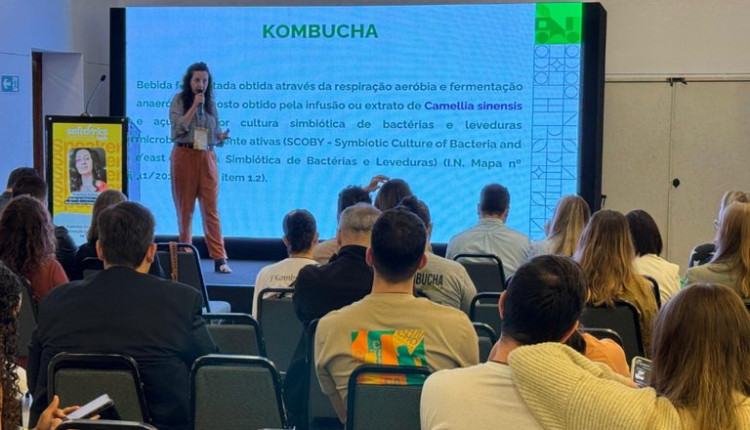 Regulamentação impulsiona setor de kombucha, que cresce 923% em seis anos no Brasil
