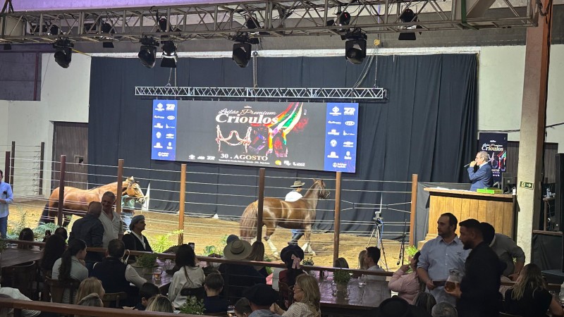 cavalo crioulo