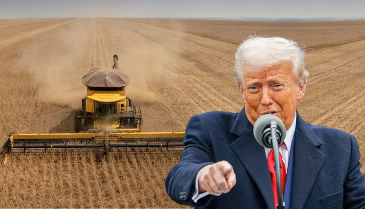 colheita da soja trump donald reucperacoes judiciais