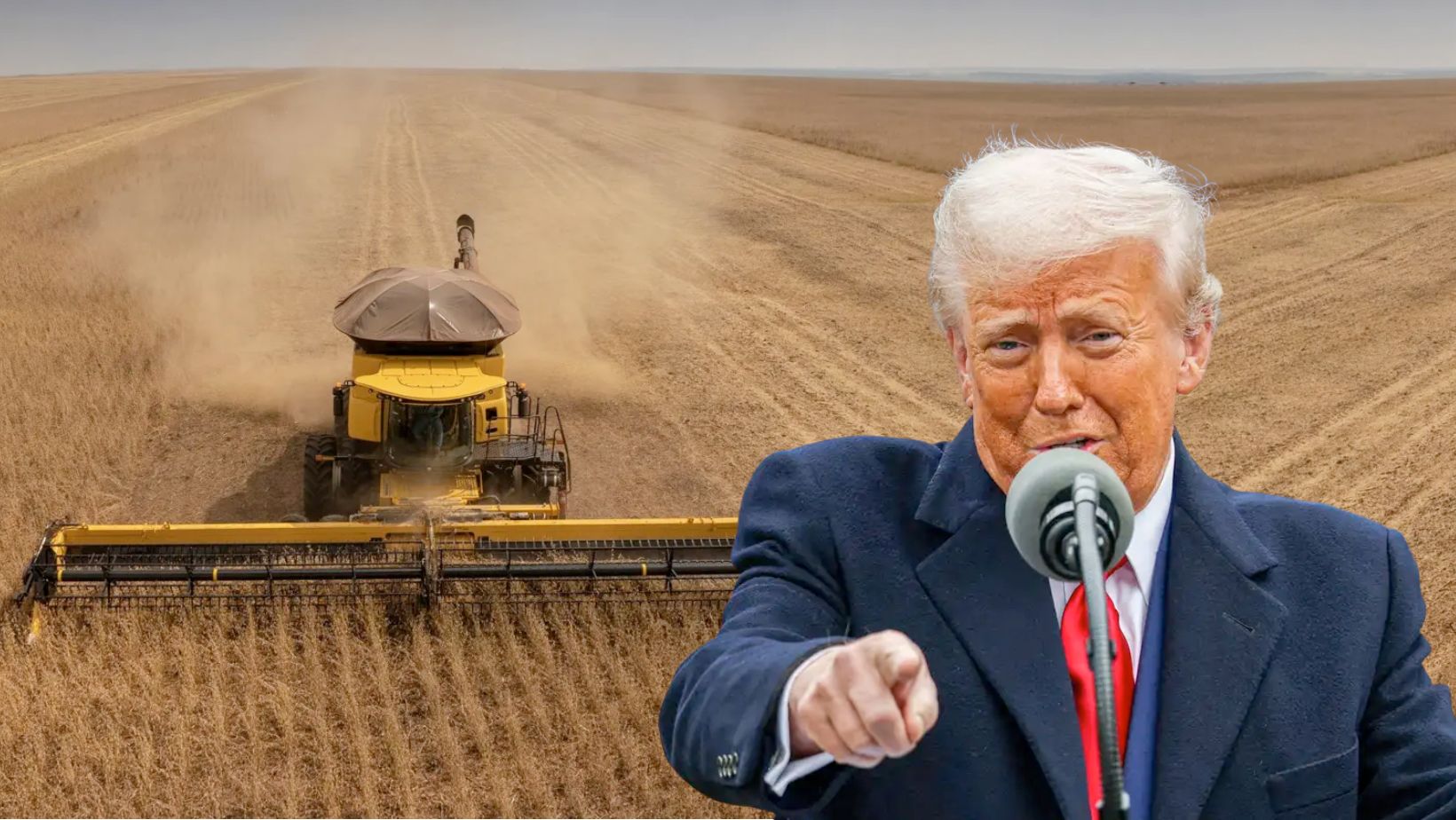 colheita da soja trump donald reucperacoes judiciais
