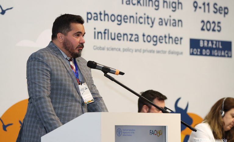 Brasil recebeu diálogo global inédito sobre influenza aviária promovido pela FAO