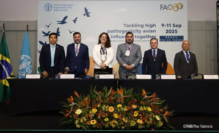 Brasil recebeu diálogo global inédito sobre influenza aviária promovido pela FAO