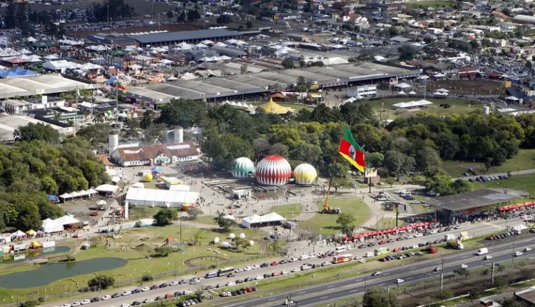 expointer 2025