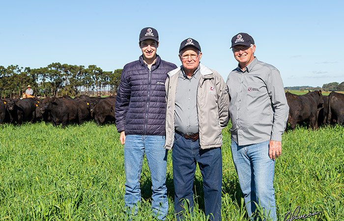 Conheça um dos melhores rebanhos de Angus do Brasil