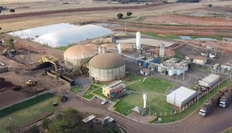 Triângulo Mineiro mira liderança nacional em bioenergia, aponta presidente da SIAMIG