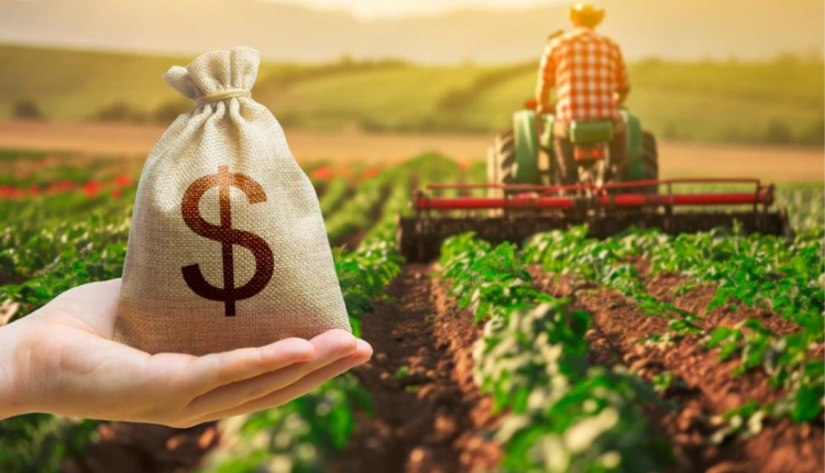 Gestão financeira no agro: como planejar o capital de giro para a safra seguinte