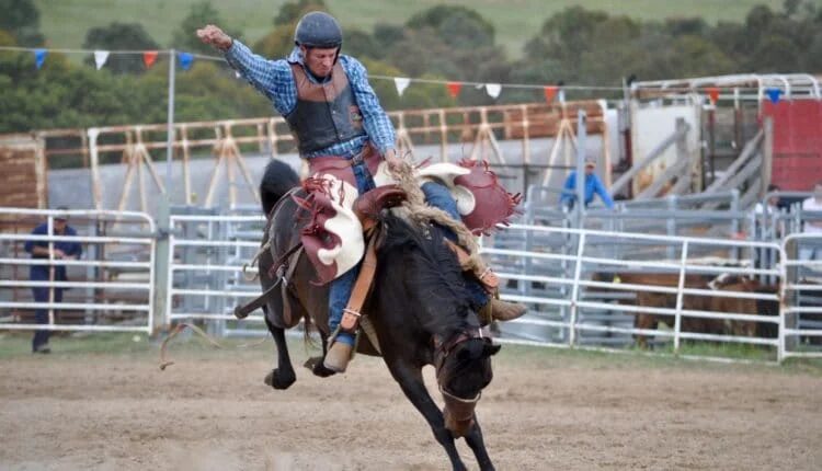 Conheça as 7 modalidades mais tradicionais do rodeio