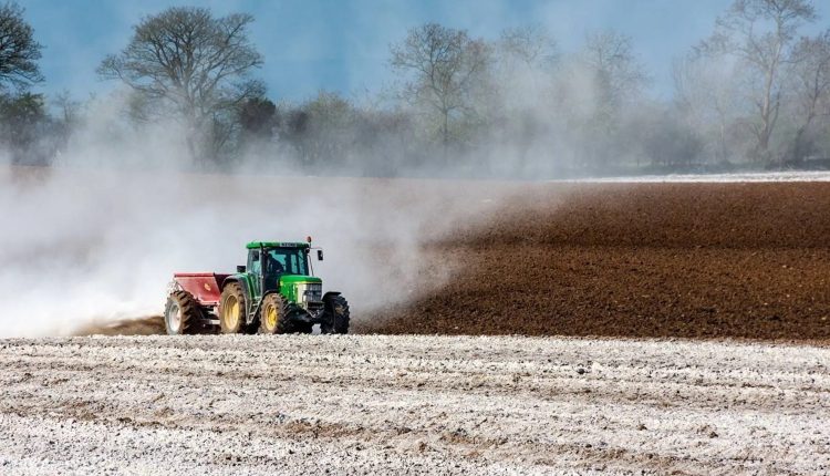 Calcário agrícola: como usar, quais as vantagens e sua eficiência no solo