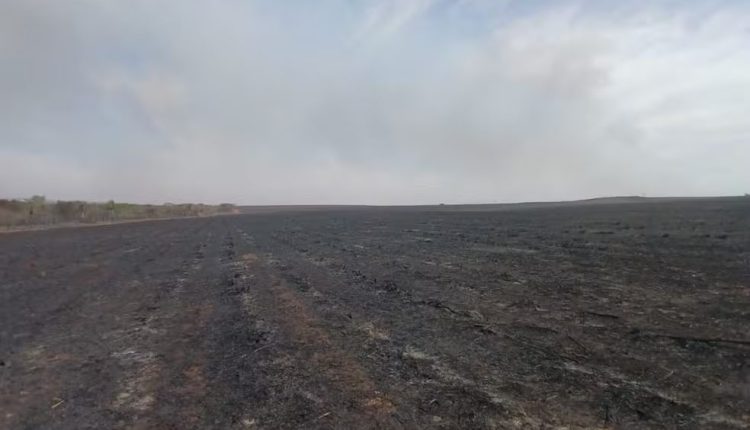 Fogo causado por problema mecânico em máquina atingiu uma área total de 1.463,891 hectares. — Foto: PMA