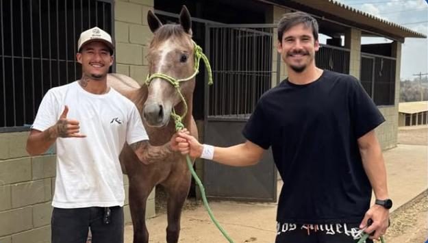 Sabrina Sato é a nova criadora de Quarto de Milha no Brasil, apostando em genética superior