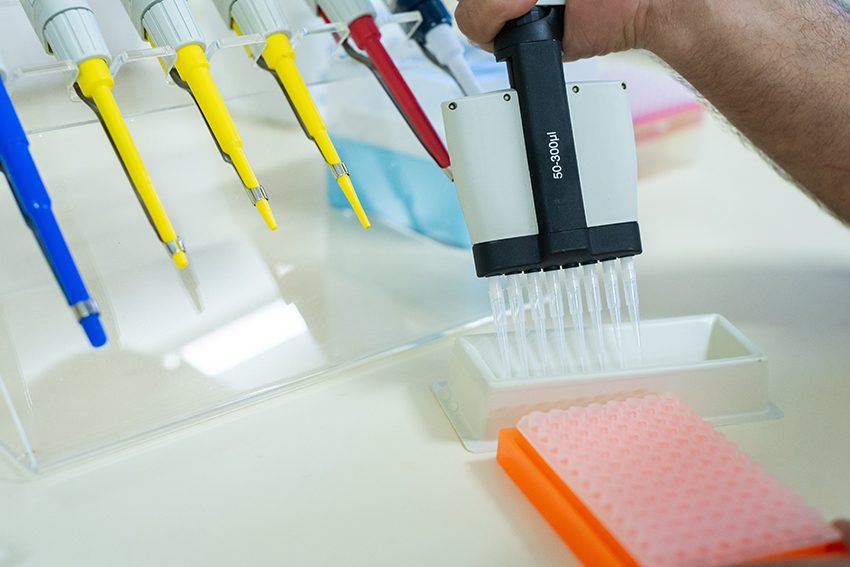 Soja com genoma editado para tolerância à seca