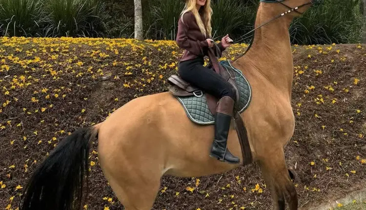 Passeio a cavalo leva Marina Ruy Barbosa a celebrar tranquilidade no agro